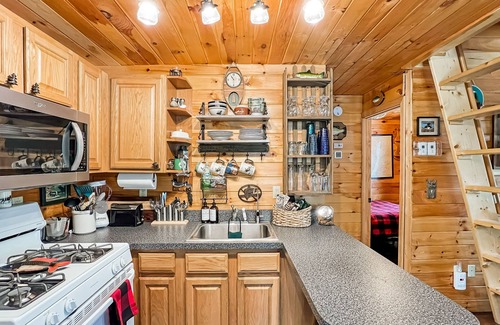 Greenville Cabin | The Loon's Nest (Close to Moosehead Lake!)