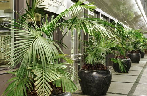 Mitte Apartment | The Mandala Suites Berlin