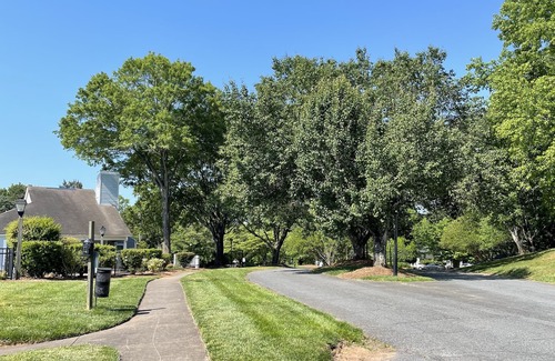 Marlwood Acre Condo | The Modern Hidden Gem 2BR 1bath with Balcony