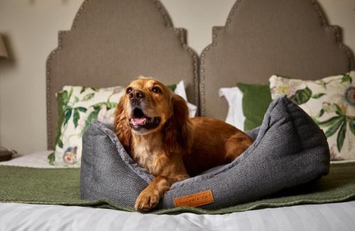 New Forest District Hotel | The Montagu Arms