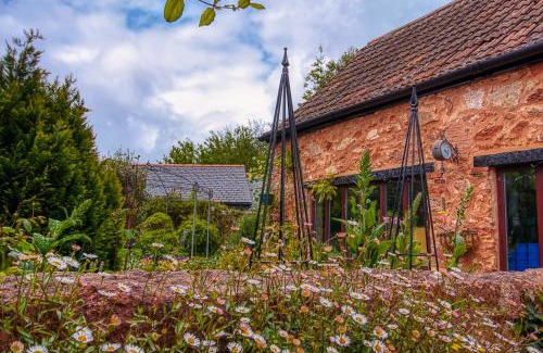 Williton Bed & Breakfast | The Old Bookshop