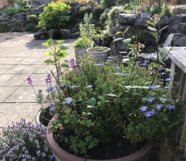 Cheddar Bed & Breakfast | The Old Police House