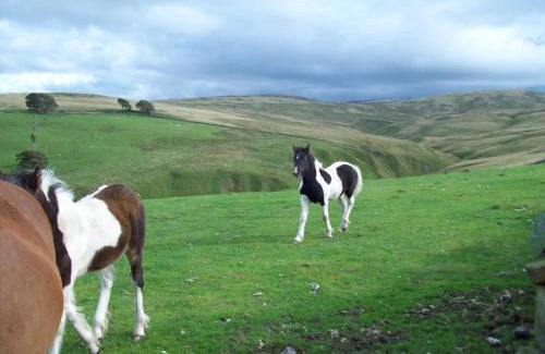 Tebay Bed & Breakfast | The Old School B&B
