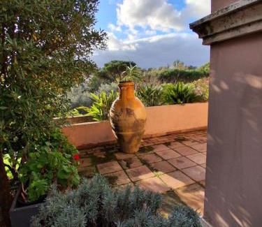 Cassia Villa | The Olive Grove Roma Guest House