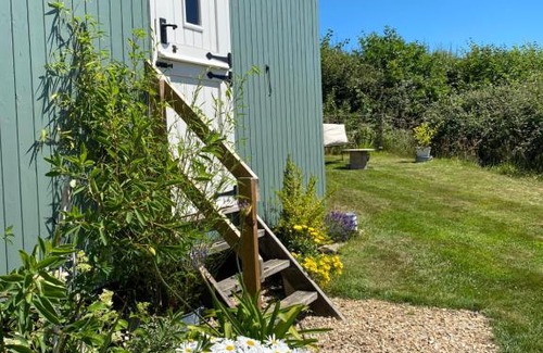 Axminster Other | The Orchard Shepherds Hut