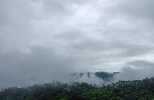 Dharampur Apartment | The Pine Trails Kasauli I Guaranteed Best Price I Serviced Villa I Open Air Rooftop I Couple Friendly I Pvt Balcony I Kasauli By Exotic Stays