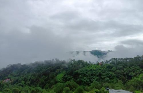 Dharampur Apartment | The Pine Trails Kasauli I Guaranteed Best Price I Serviced Villa I Open Air Rooftop I Couple Friendly I Pvt Balcony I Kasauli By Exotic Stays