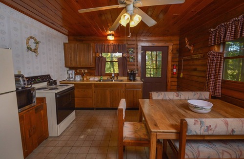 Swanton House | The Pines | Log Home, Wooded Setting!