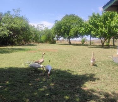 Magaliesberg Apartment | The Pink Chair