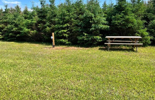 Brackley Beach Other | The Red Fox Campground