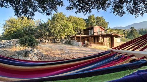 Apokoronas House | The Root House - Crete Stay