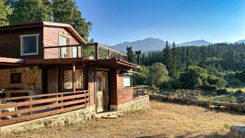 Apokoronas House | The Root House - Crete Stay