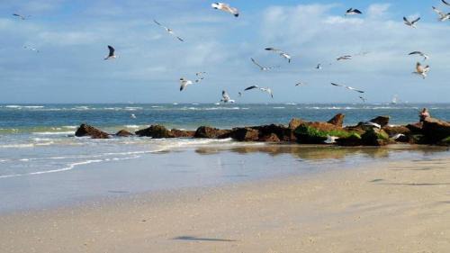 Vilano Beach Hotel | The Saint Augustine Beach House