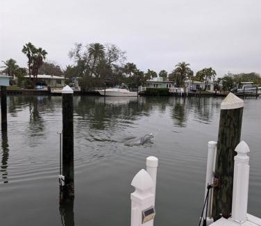 Indian Rocks Beach House | The Salty Cove IRB