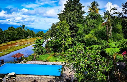 Munduk Villa | The Sangkih Villa