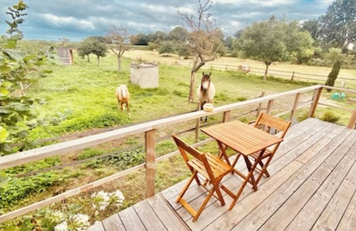 Bazenville Cabin | The sea view cabane balnéo