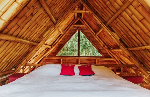 Tzununa Hotel | The Seed Habitat