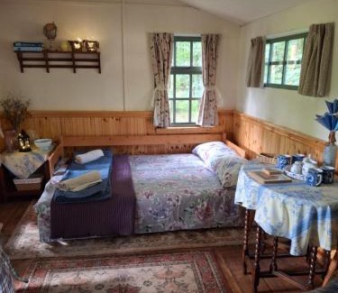 Redditch Other | The Shack in the Woods- Off Grid