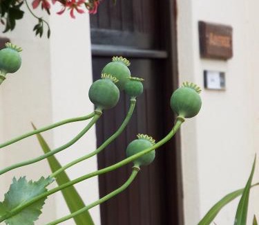 Wootton Apartment | The Stableyard