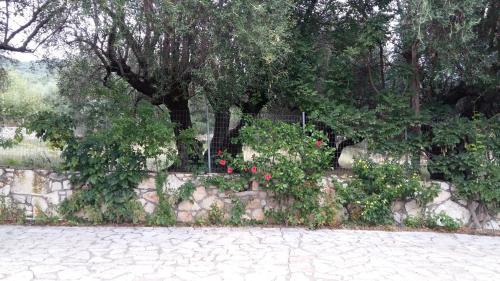 Poulata House | The Stone House-Zacharatos Nikolaos