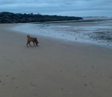 Millom Other | The Trailer By The Sea