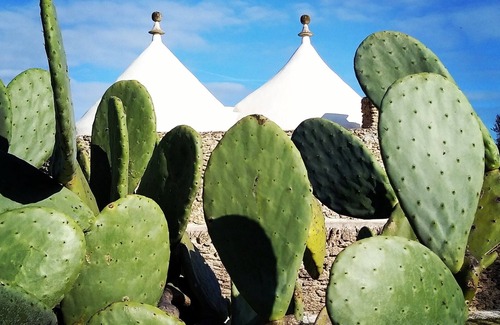 Mesagne House | The “trullo” – the traditional house of Apulia