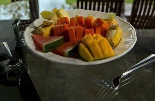 Rajawella Bed & Breakfast | The Victoria Nest Bungalow