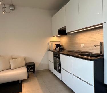 Bissone Apartment | The View of Lugano
