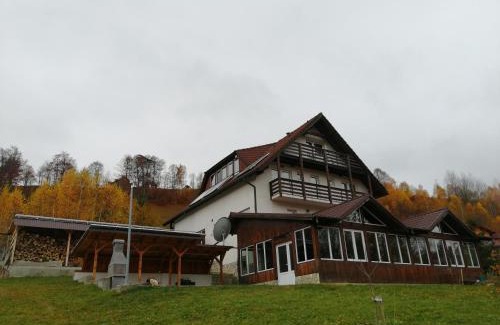 Moieciu House | The Viewpoint
