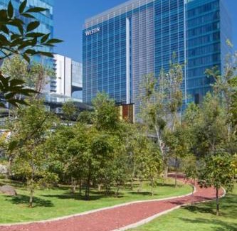 Santa Fe Hotel | The Westin Santa Fe, Mexico City