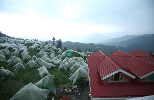 Fagu Hotel | The White Mountain View Kufri