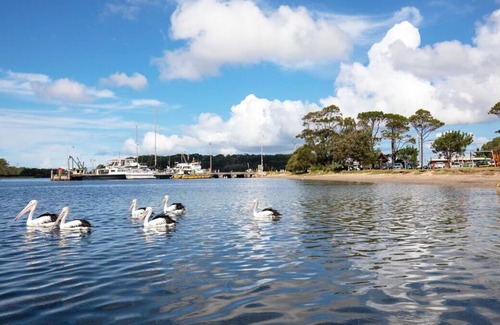 Greenwell Point House | "The Whole Comarong" Elevated 4 bed house. Close to water