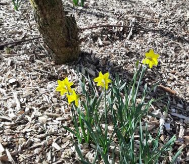 Miltown Malbay Apartment | The Wild Atlantic Neurodiversity Autism Sanctuary