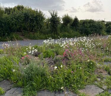 Miltown Malbay Apartment | The Wild Atlantic Neurodiversity Autism Sanctuary