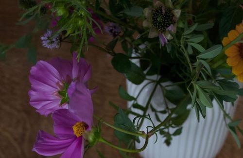 Ellensburg House | The Windy Willows – A Restful Retreat