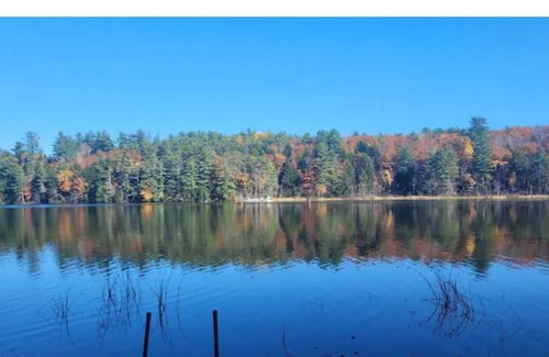 Monmouth Cabin | The Woodland Lodge
