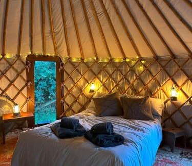 Cardigan Other | The Yurt @ Penbanc Pasture