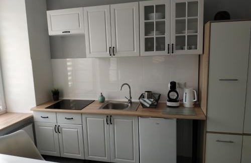 Baluty Apartment | theApartments Manufaktura