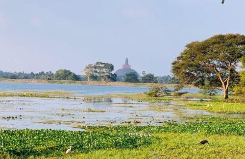 Anuradhapura Villa | Thissawewa Stay