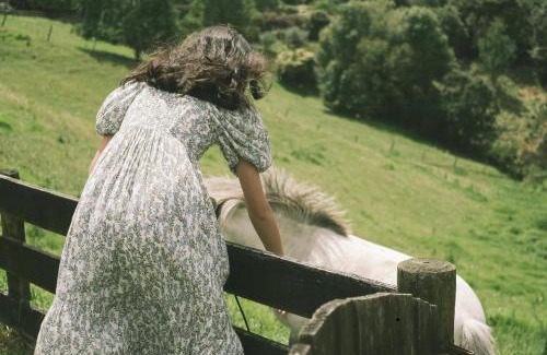 Tauriko House | Thistle and Pine Cottage