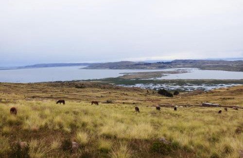 Lake Titicaca - Puno Apartment | Tierra Espiritual - Andean Holistic Hotel