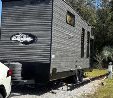 Florida Panhandle Other | Timberwolf in the Park