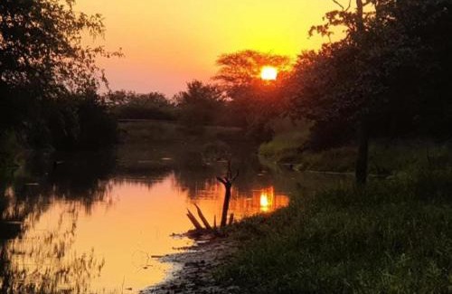 Phalaborwa Cabin | Tintshaba Safaris