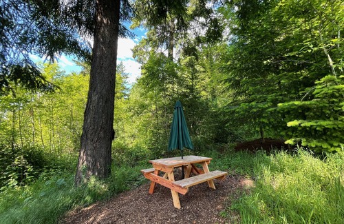 Pleasant Valley Cabin | Tiny A-Frame Farm Meadow Retreat minutes from downtown