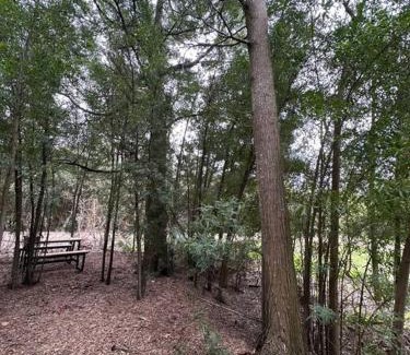 Chascomus House | Tiny house en pleno bosque a metros de la laguna