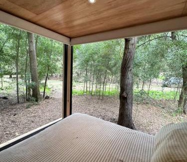 Chascomus House | Tiny house en pleno bosque a metros de la laguna