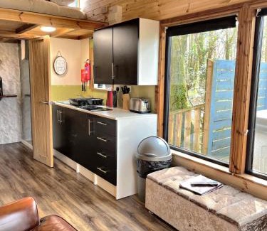 Llanybri Ski Chalet | Tiny House-Hot Tub-St Clears-Pembrokeshire-Tenby