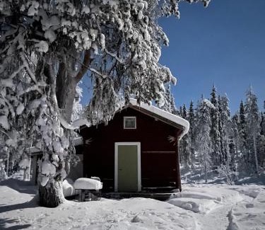 Nattavaara House | Tiny House in Nattavaara by