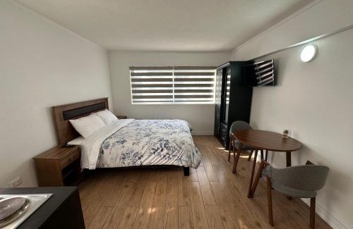 Concepcion Apartment | TinyApartments - estudio pleno centro Concepción