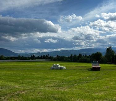Styria Region Apartment | Tinyhome Spielberg -Glamping Container
